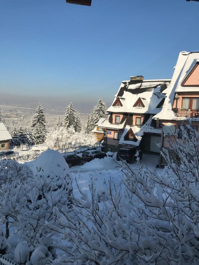 Pokoje U Borzana Bed and Breakfast Biały Dunajec Eksteriør billede