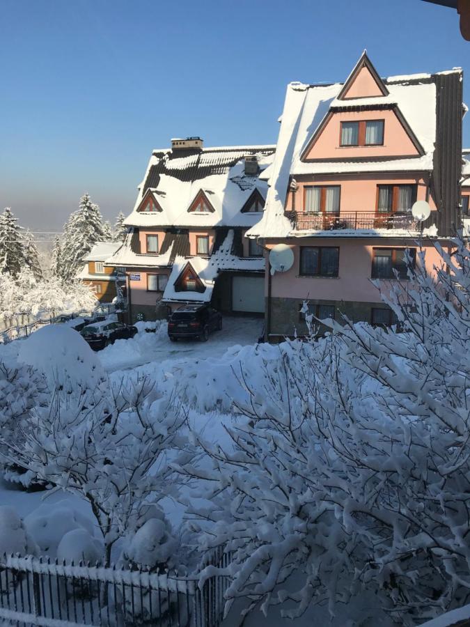 Pokoje U Borzana Bed and Breakfast Biały Dunajec Eksteriør billede